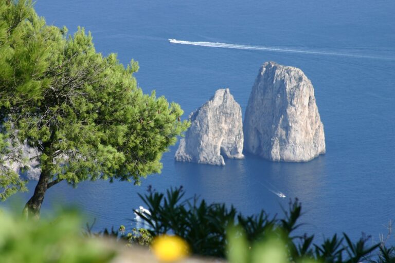 Discover How To Get Weed In Capri
