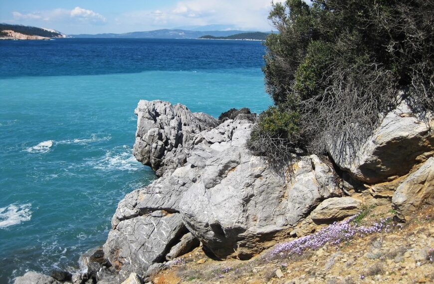 Discover How To Get Weed In Evia