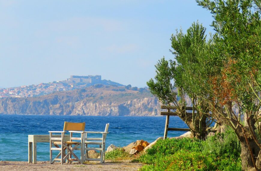 Discover How To Get Weed In Lesbos