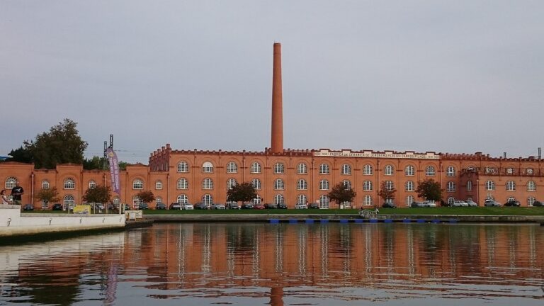 Discover How To Get Weed In Aveiro