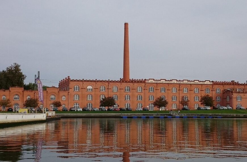 Discover How To Get Weed In Aveiro