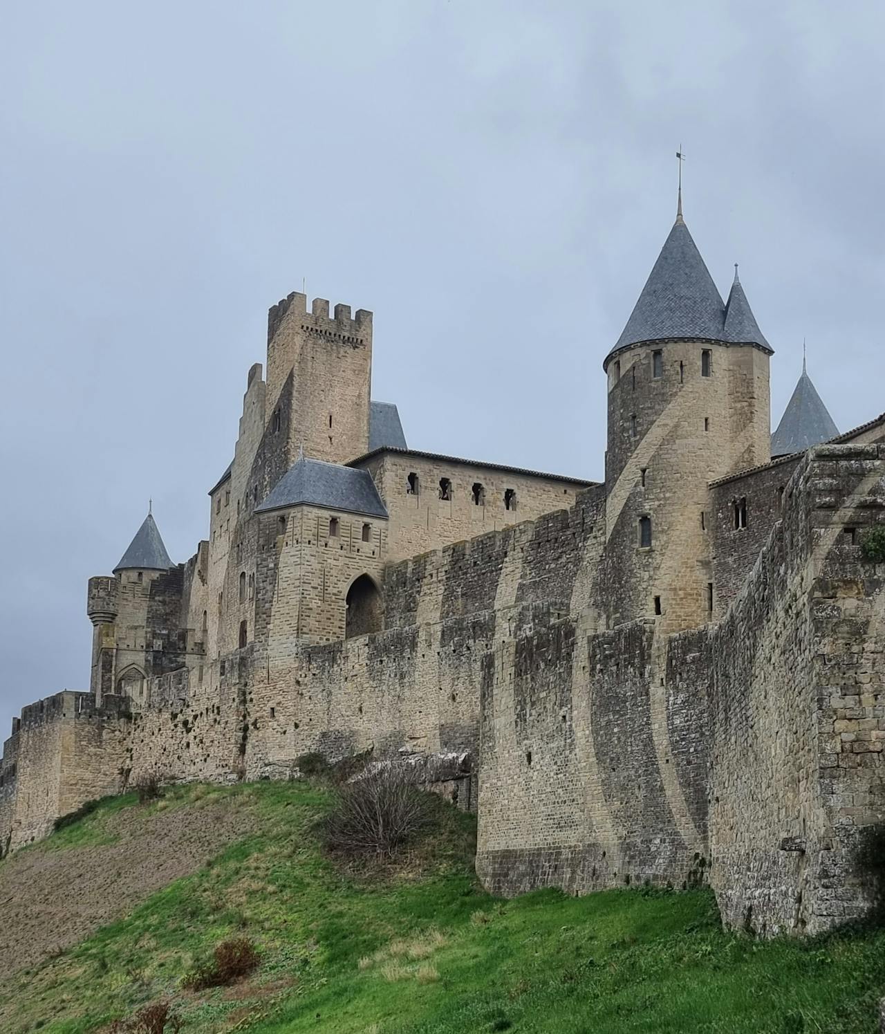 Discover How To Get Weed In Carcassonne