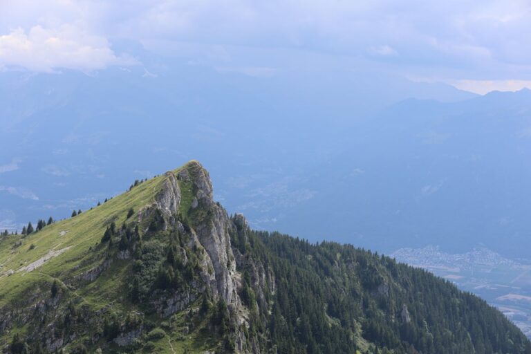 Discover How To Get Weed In Clermont-Ferrand