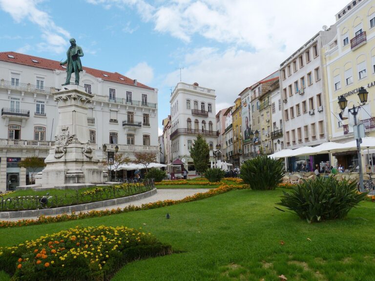 Discover How To Get Weed In Coimbra