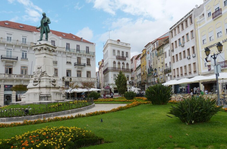 Discover How To Get Weed In Coimbra