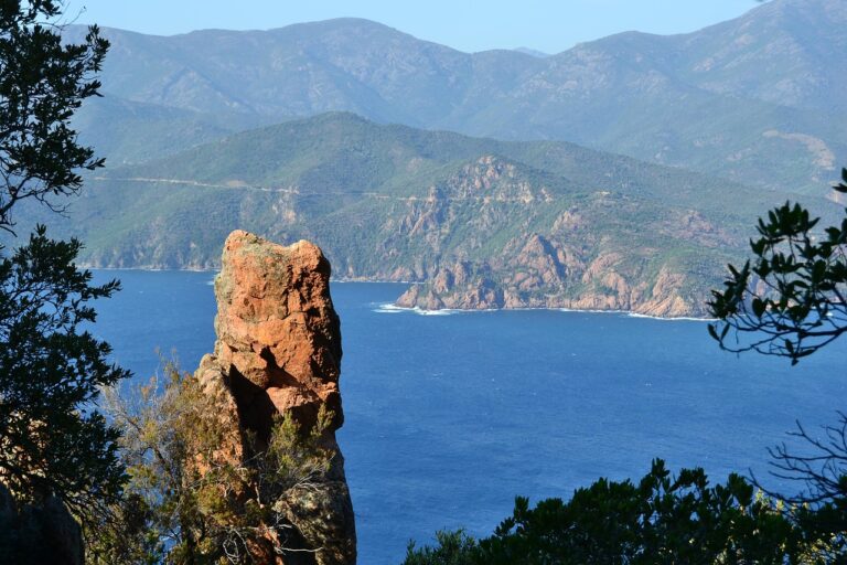 Discover How To Get Weed In Corsica