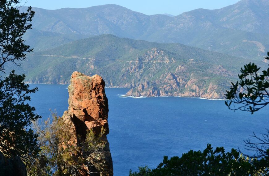 Discover How To Get Weed In Corsica