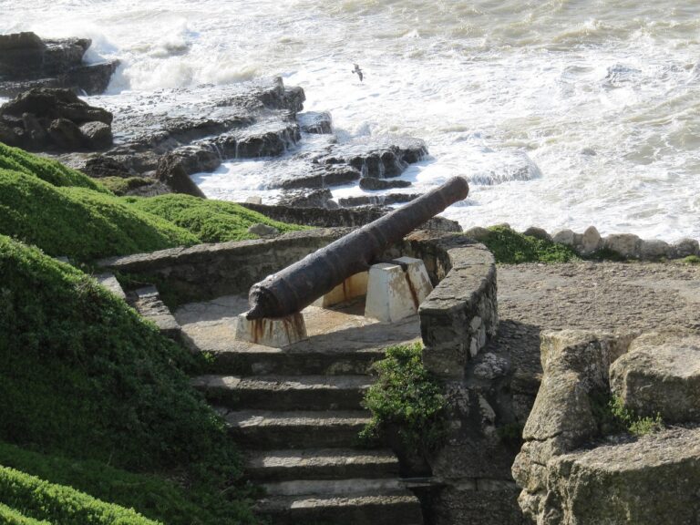 Discover How To Get Weed In Ericeira