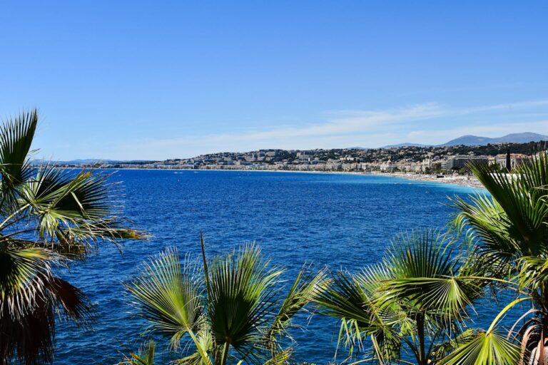 Discover How To Get Weed In French Riviera