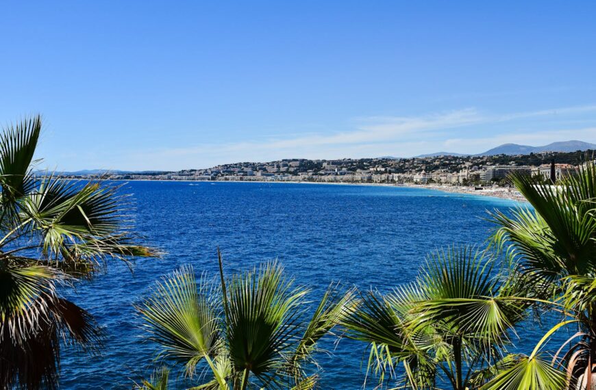 Discover How To Get Weed In French Riviera