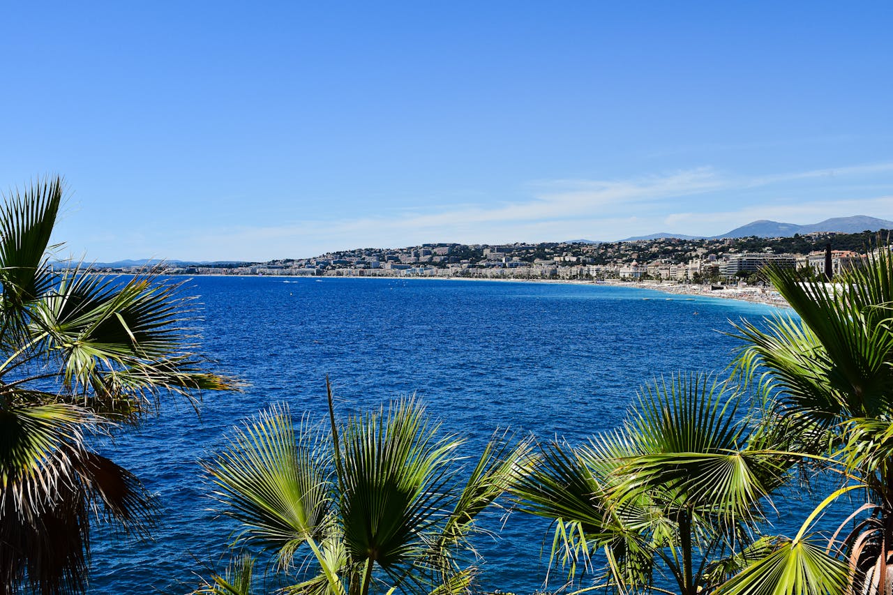 Discover How To Get Weed In French Riviera