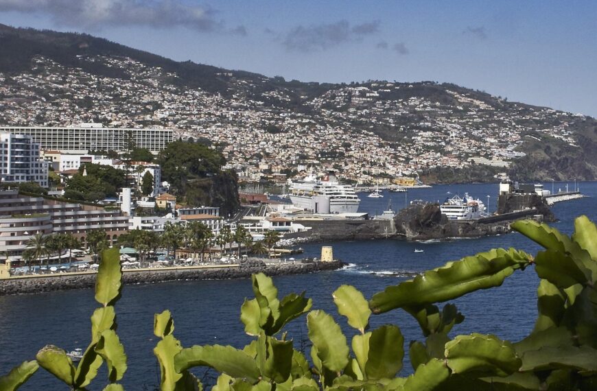 Discover How To Get Weed In Funchal