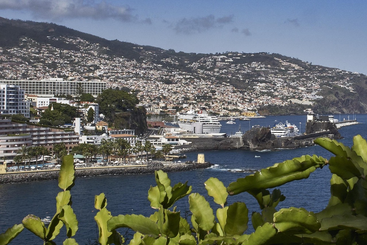 Discover How To Get Weed In Funchal