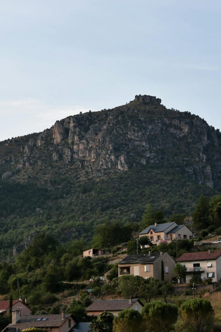 Discover How To Get Weed In Grasse