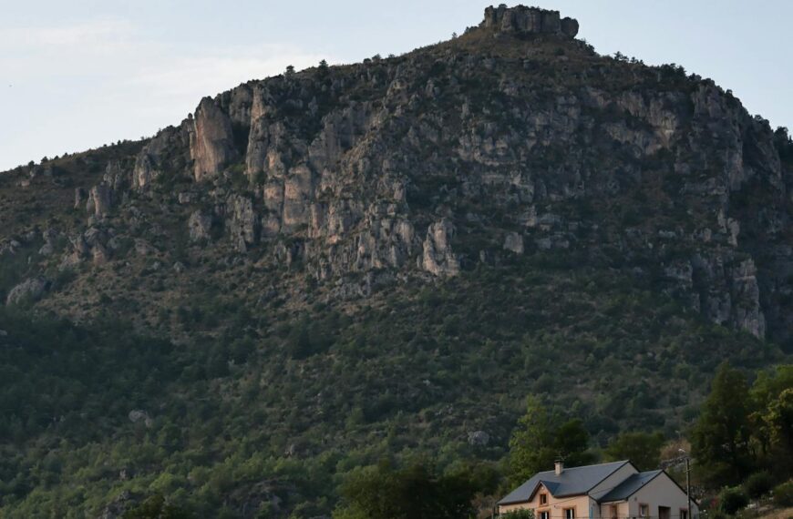 Discover How To Get Weed In Grasse