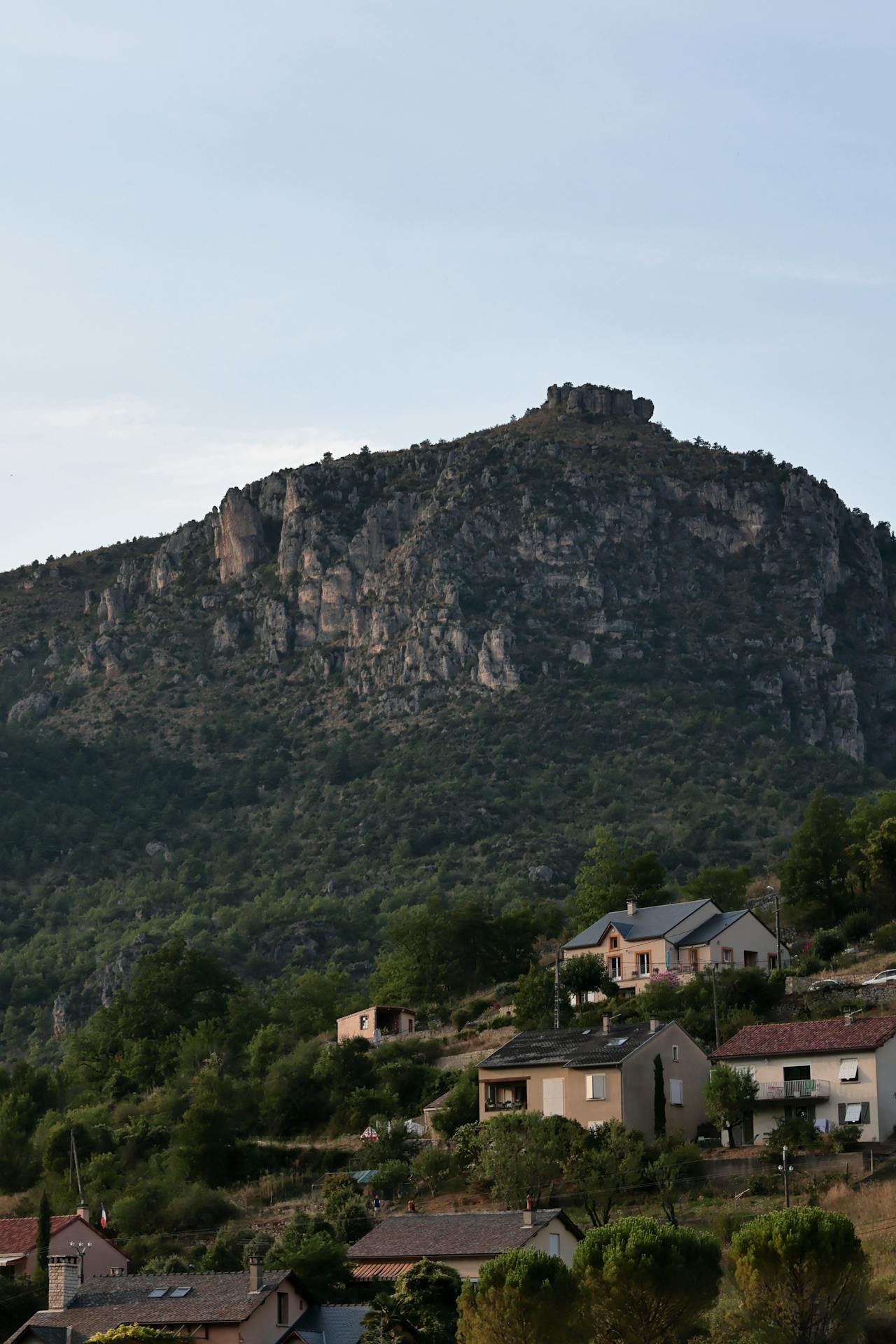 Discover How To Get Weed In Grasse