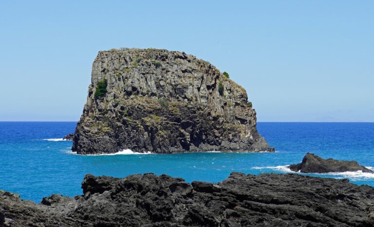 Discover How To Get Weed In Madeira