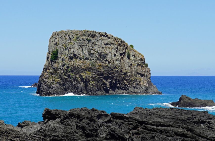 Discover How To Get Weed In Madeira