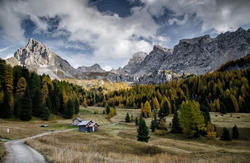 Discover How To Get Weed In Modena