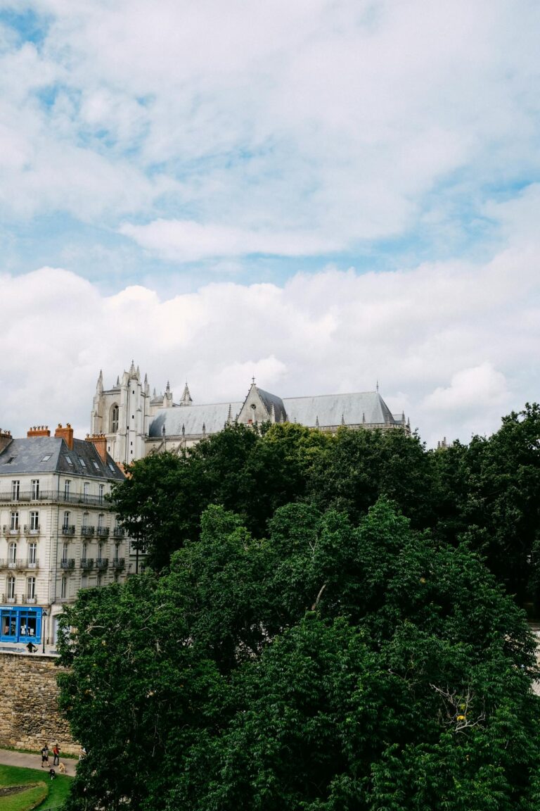 Discover How To Get Weed In Nantes