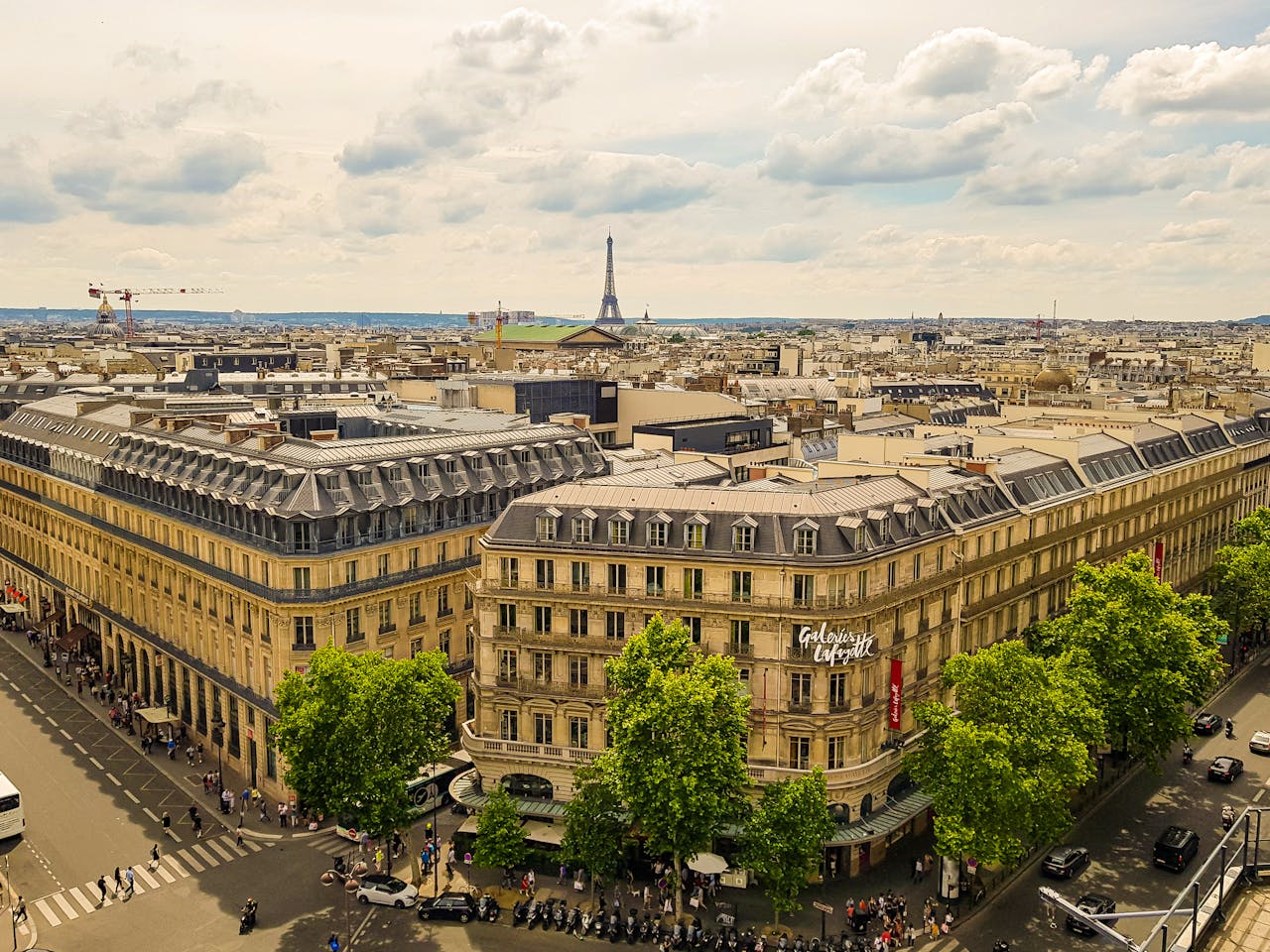 Discover How To Get Weed In Paris