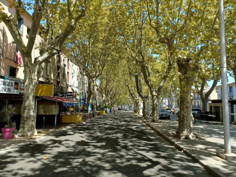 Discover How To Get Weed In Perpignan