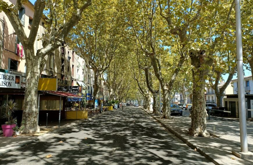 Discover How To Get Weed In Perpignan