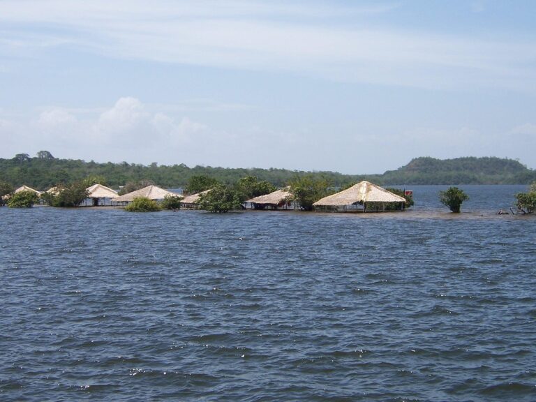 Discover How To Get Weed In Santarem