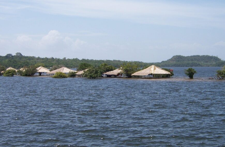 Discover How To Get Weed In Santarem