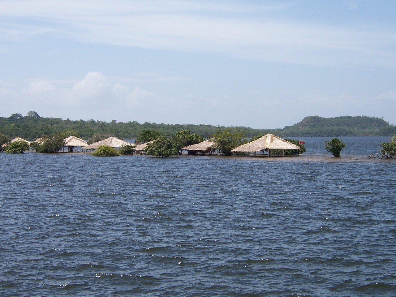 Discover How To Get Weed In Santarem