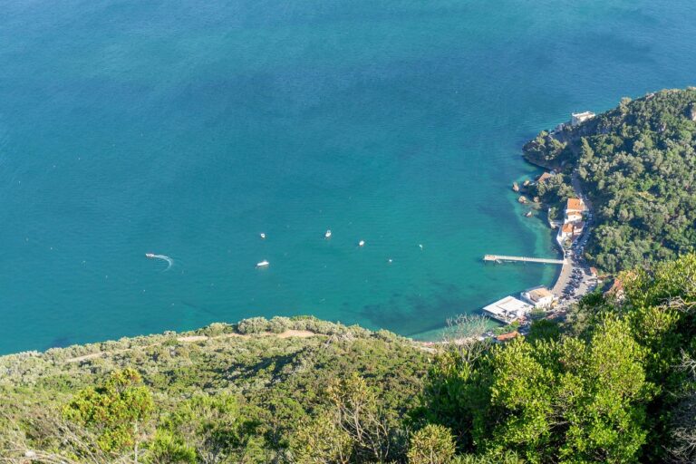 Discover How To Get Weed In Setúbal