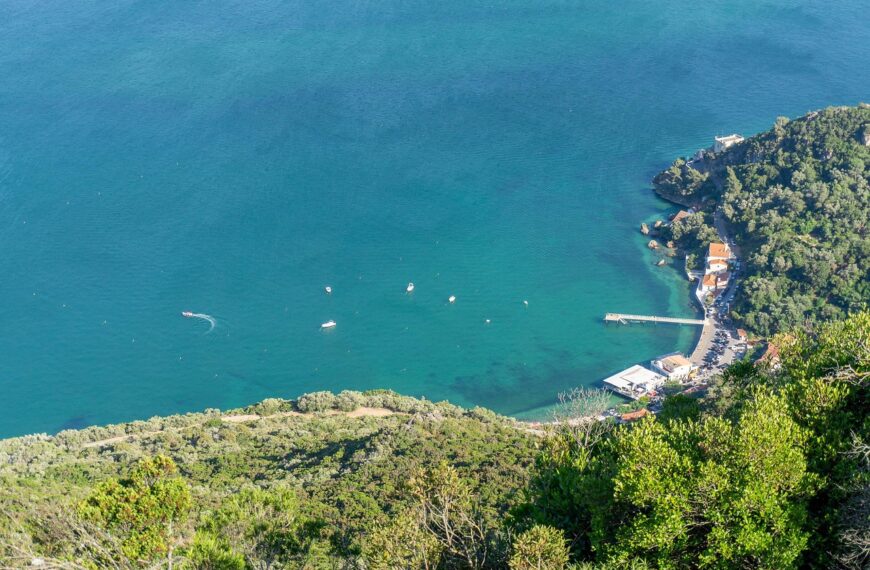 Discover How To Get Weed In Setúbal