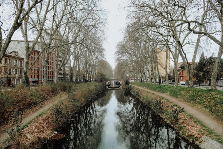 Discover How To Get Weed In Toulouse