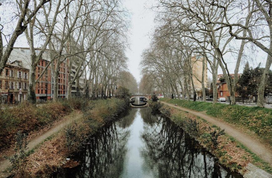Discover How To Get Weed In Toulouse