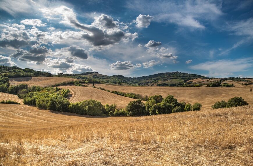 Discover How To Get Weed In Tuscany