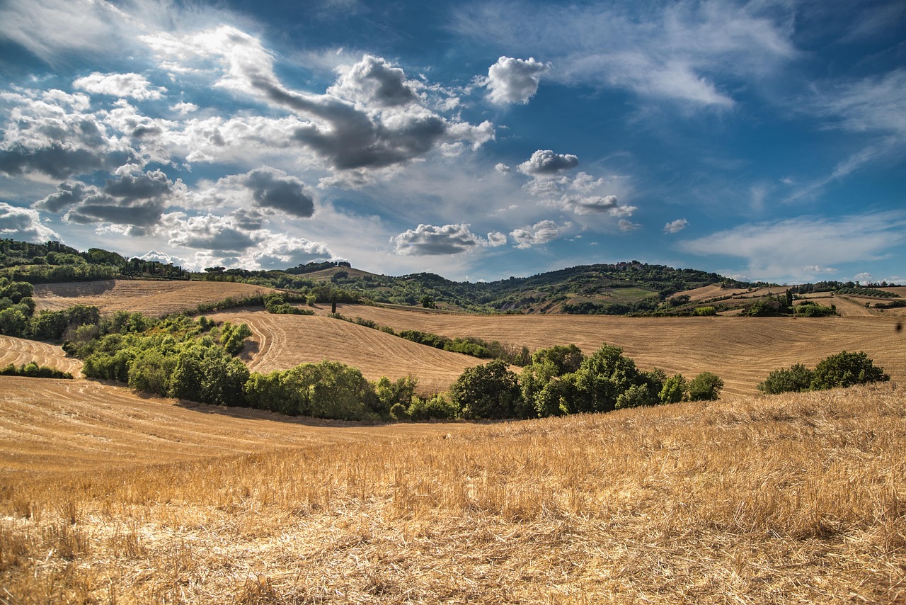 Discover How To Get Weed In Tuscany