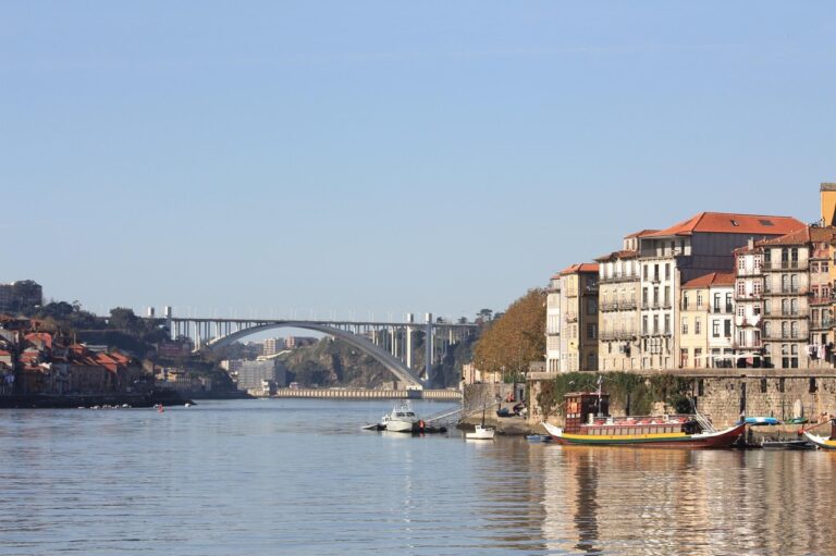 Discover How To Get Weed In Vila Nova de Gaia