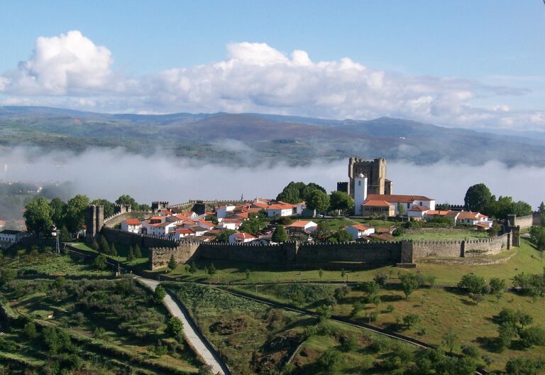 Discover The Cannabis Laws In Braganza