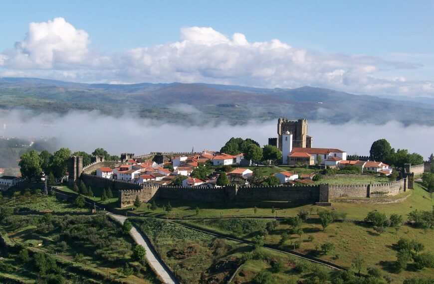 Discover The Cannabis Laws In Braganza